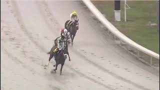 Delta Downs RACE 1 -  22 JAN 2026