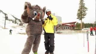 Opening Day  NOV 8, 2012