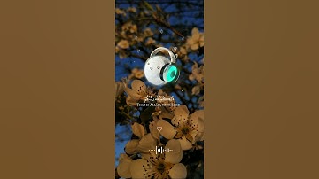 ياسر الدوسري. (وَقَالَ رَبُّكُمُ ادْعُونِي أَسْتَجِبْ لَكُمْ )سورة غافر الآية 60