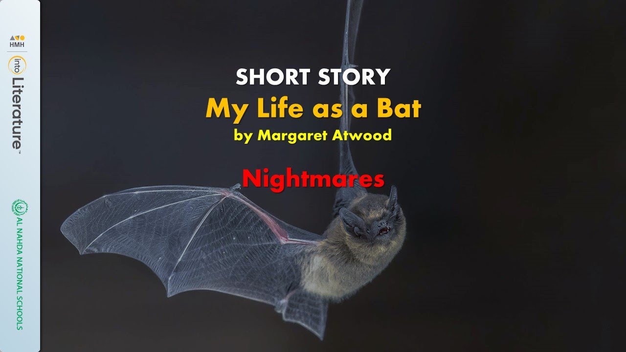 My Life as a Bat - Section Two | Nightmares - YouTube