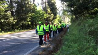 Carvalhal - Viseu
