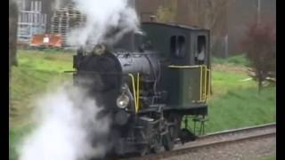 Ein Dampflok-Tigerli E 3/3 bekommt Auslauf -  Rangierlok SBB Züge Eisenbahn Trains Trenes