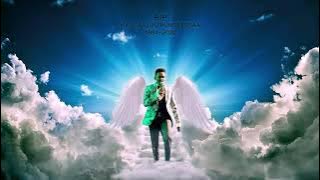 Haacaaluu Hundeessaa: Hinseene