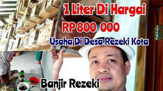 Inspirasi Wirausaha Bisnis Di Desa, Ternak Lebah Madu Klanceng