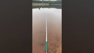 #shorts Basic Fishing Techniques for Beginners screenshot 1