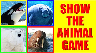 Show me Aquatic Mammals Game for Kids - Where is the Animal?