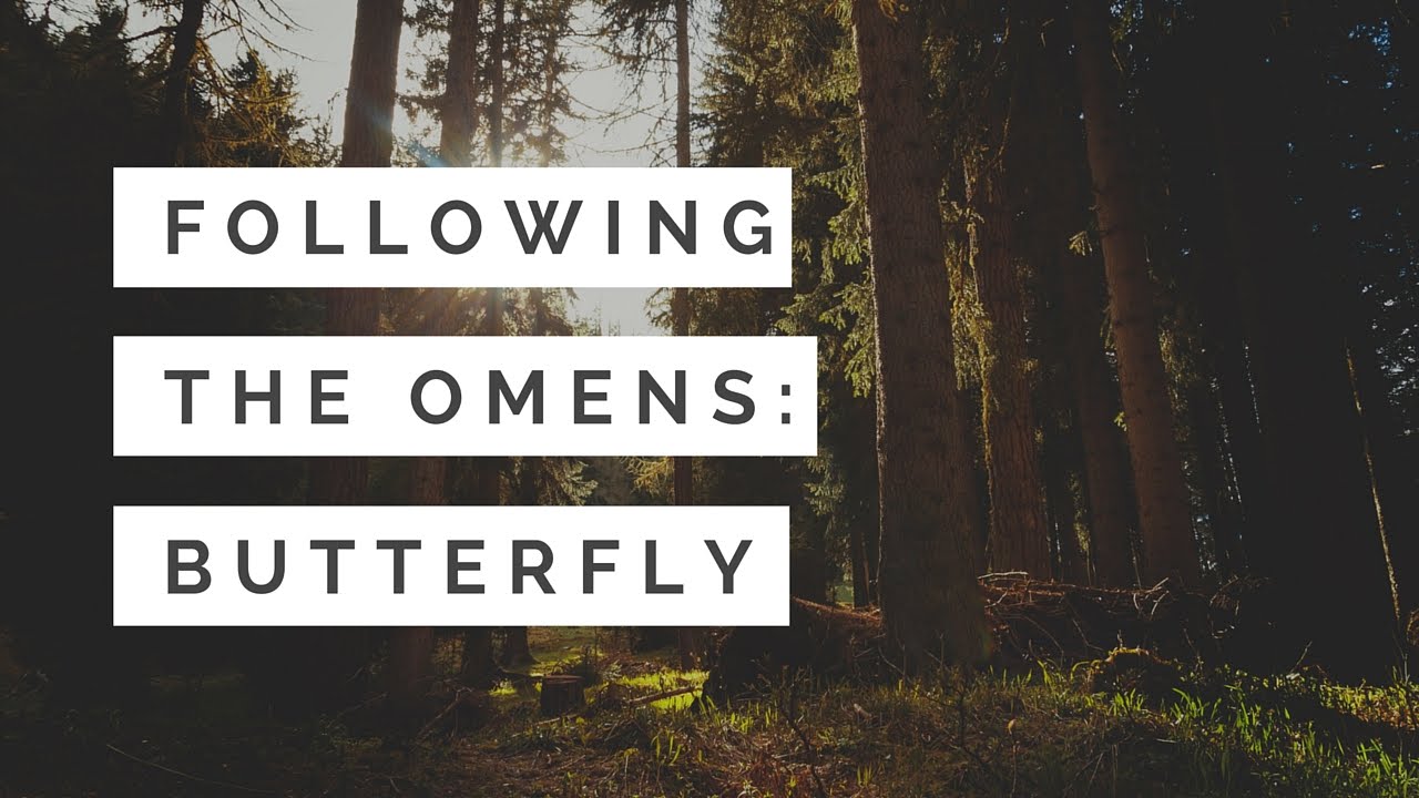 Meaning of Omens Butterfly Three Little Crystals YouTube