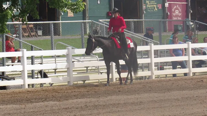 Jax First riding Class 2 yr old