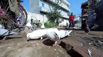 Gitup F1 1080p @ 120fps video sample (RAW)