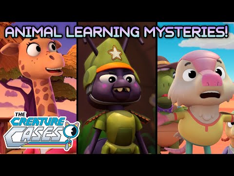@CreatureCases - 📚🦊🐾 Animal Learning Mysteries! 📚🦊🐾 | STEM | Kit and Sam