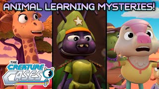 @CreatureCases - 📚🦊🐾 Animal Learning Mysteries! 📚🦊🐾 | STEM | Kit and Sam screenshot 5