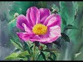 choeSSi art studio/ 최병화수채화/ 작약그리기/꽃그리기/tutorial of watercolor /how to paint flower-peony