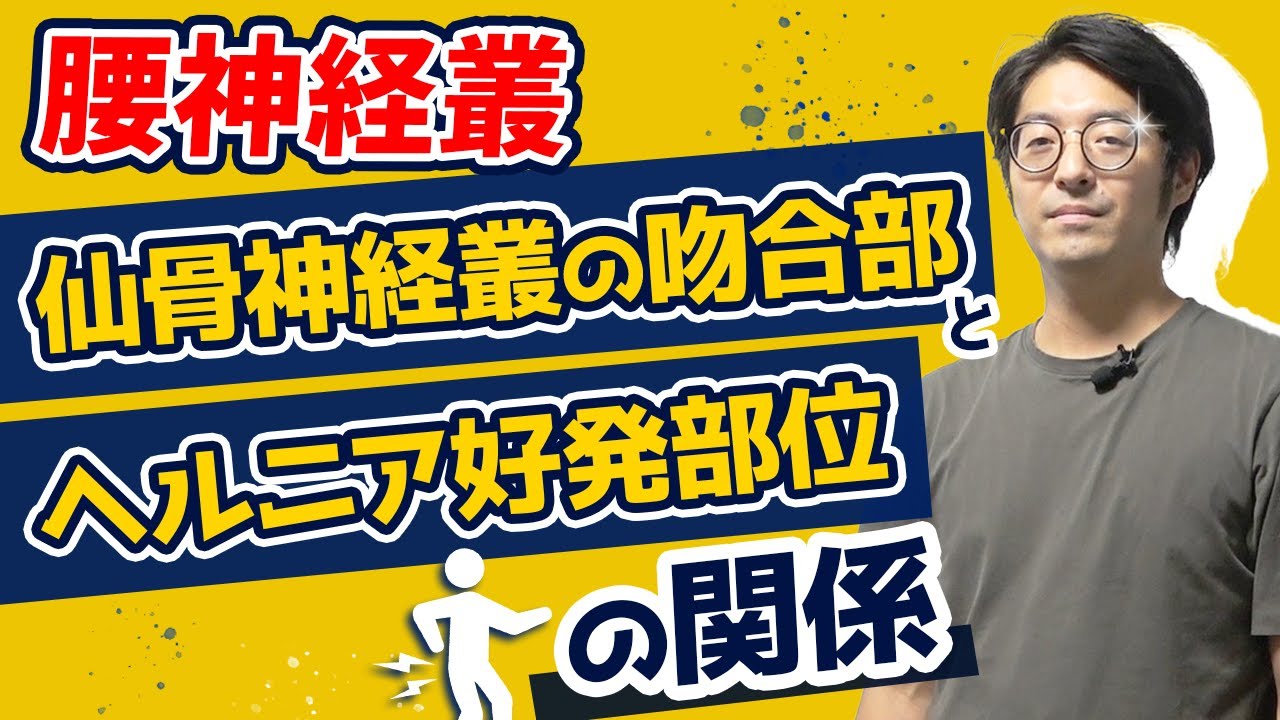 【腰痛治療】ヘルニアがなぜL4に多いのか紐解ける？