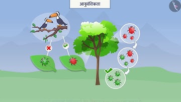 आनुवंशिकता से संबंधित कुछ मूल अवधारणाएँ|Part 1/1|Basics of Heredity|Hindi|Class 10