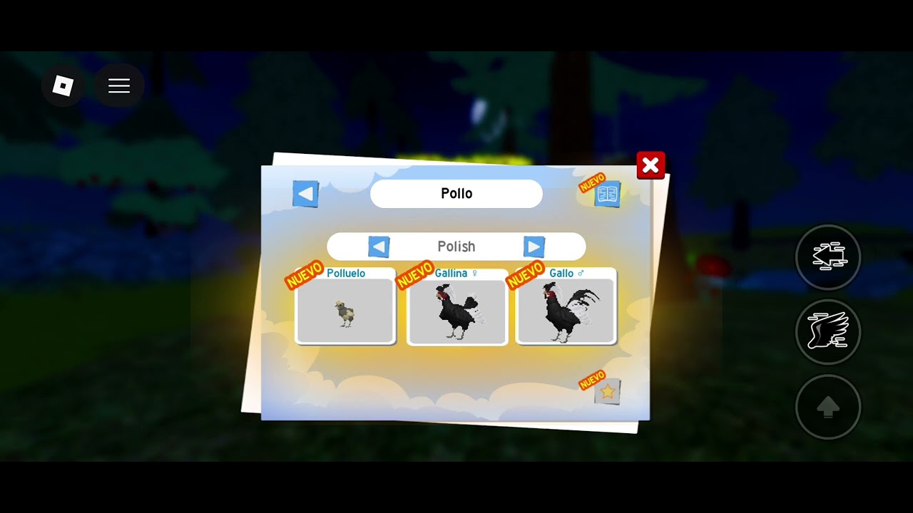 Nuevo gallo en feather family 