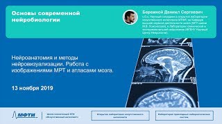 13.11.2019 Нейроанатомия и методы нейровизуализации. Работа с изображениями МРТ и атласами мозга.