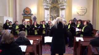 Video thumbnail of "Otvorte brány dokorán - Spevácky zbor Nádej"