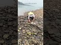 UN VIAGGIO DIFFICILE PER QUESTE CARPE