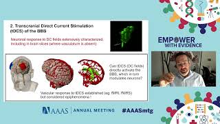 Direct Current Stimulation Enhances Plasticity: Implications for Neural Recovery (Marom Bikson)