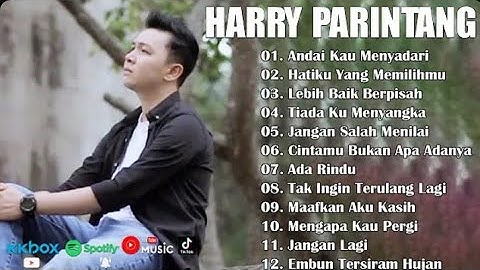 HARRY PARINTANG + LIRIK - LAGU GALAU BIKIN BAPER - ANDAI KAU MENYADARI - KOMPILASI