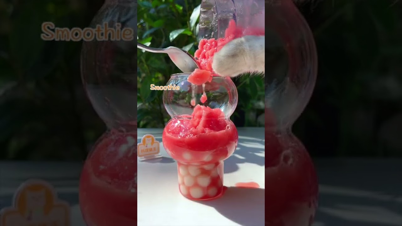 😍Cat Makes Watermelon Juice with Tapioca Pearls 😏😏 | Chef Cat Cooking TikTok 