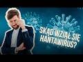 Skąd wziął się hantawirus? | NIEPYTALSKI PYTA