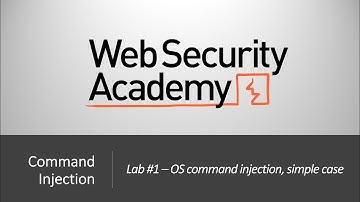 Command Injection - Lab #1 OS command injection, simple case | Long Version