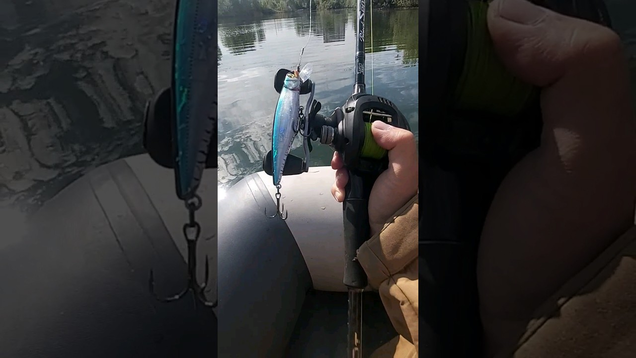 Новенький воблер Pontoon 21 Greeey Guts 111 SP 