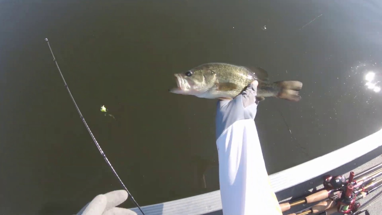 Rice lake bass fishing 2020 06 28 - YouTube