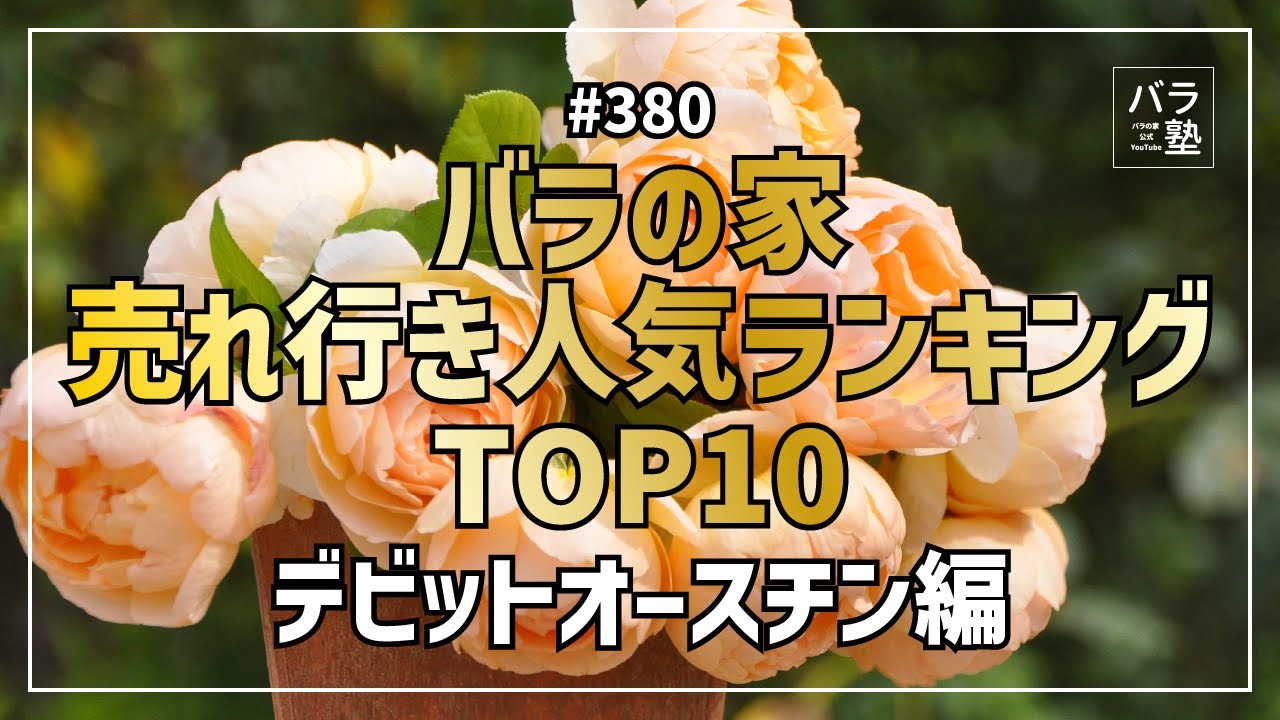 380 Top 10 Rose House Sales Rankings by David Austin - YouTube