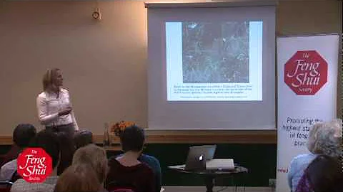 Feng Shui of Powerful Cities - Sarah McAllister - ...