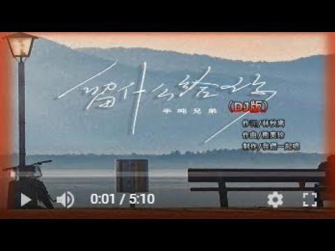 半吨兄弟   留什么给你DJ版MTV