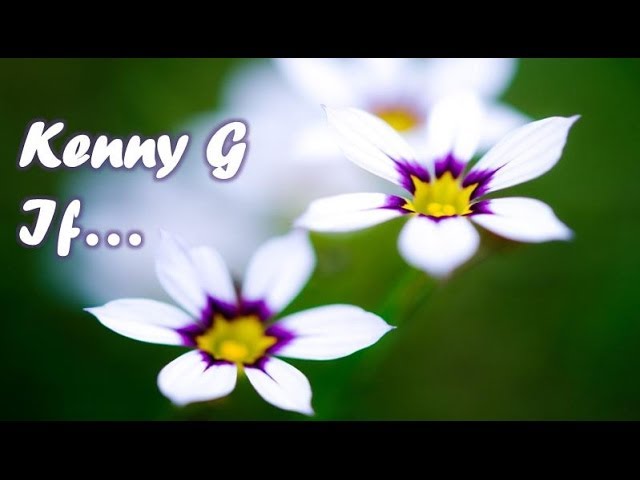 Kenny G - If
