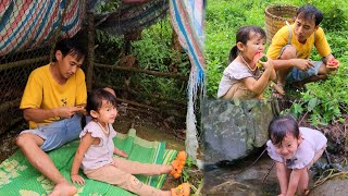 Single father,picking medicinal flowers to sell, daughter lost in the deep forest, I'm very worried