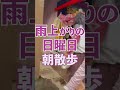 【ボゴール】謎の白い朝食?雨上がりのボゴール裏路地を散歩する熟年夫婦の日常#shorts #bogor #pasangancampuran