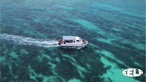 Evade Robots - In Too Deep