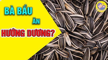 ☘️ Bà Bầu Ăn Được Hạt Hướng Dương Không? Những Lưu Ý Khi Ăn Hạt Hướng Dương | Kiến Thức Mẹ Bầu