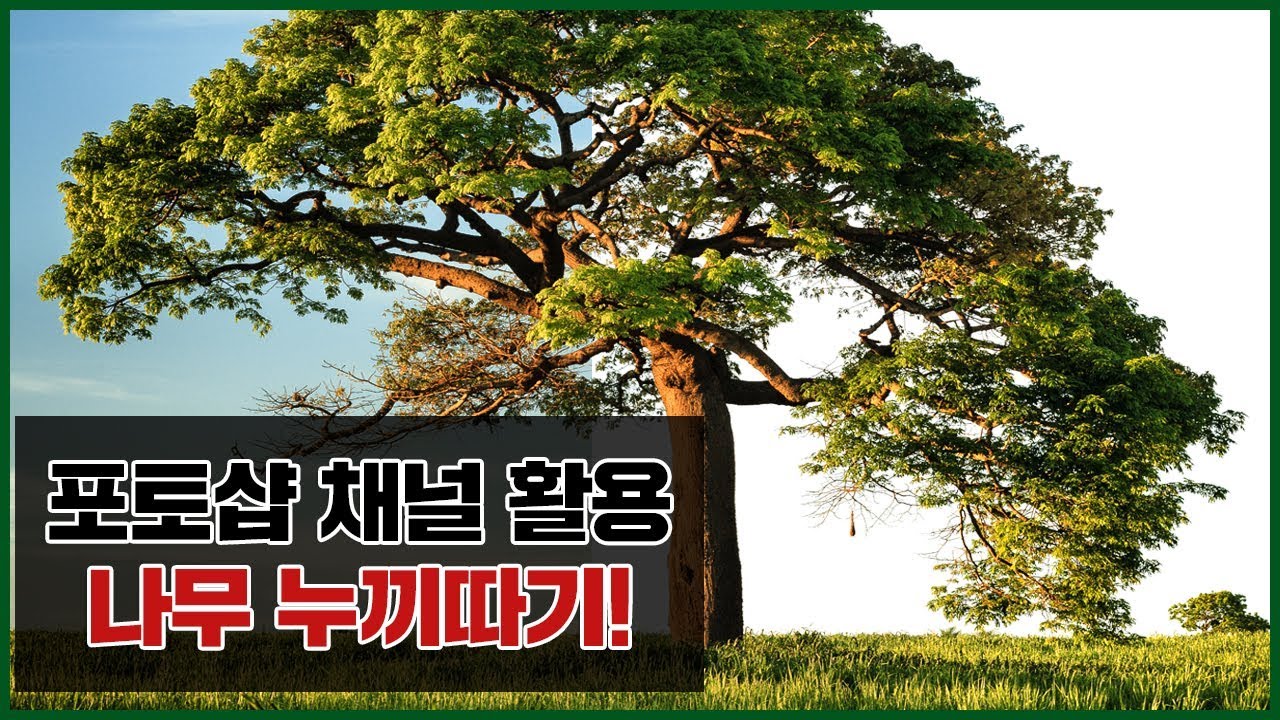 [포토샵 채널 활용 강좌] 나무 누끼따끼 쉽게 따기! / cut out using channels photoshop