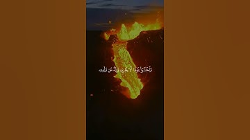 استمع بقلبك وارتق وانشر القرآن الكريم😔😢