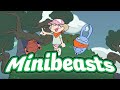 Exploring Minibeasts in the Garden