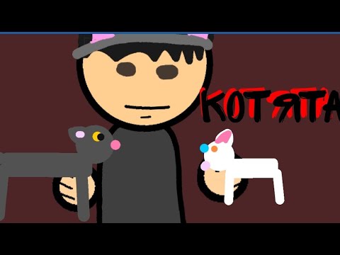 холи бам про котят