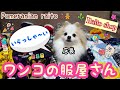 【ポメラニアン ライト】犬用の服★かわいい&おもしろい服紹介★【Pomeranian】Dog clothes★Introducing cute clothes and fnny clothes★