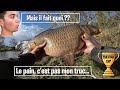 Tim fish cup  une pche au pain qui part en sucette 