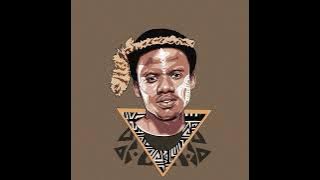 Mfoka Ngcobo-Izwe Lo Baba feat. SQO2 BOI (Visualizer)