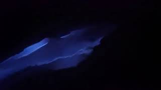 Glowing Dolphin swimming in sea Most Amazing scene Glowing Dolphin swimming in sea Most Amazing scene