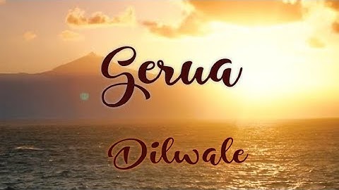Gerua||Dilwale||Song||Lyrical Video||#gerua #dilwale #lyricalvideo #song #statusvideo #ytshorts