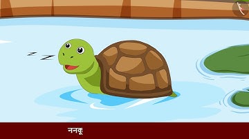 बातूनी कछुआ | Batuni Kachua | Story | कहानी | Kahani | Language | Literacy | TicTacLearn