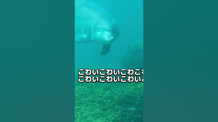 海洋恐怖症にはきつい動画