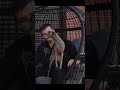 Оседлала #твичстрим #юмор #твичнаилган11 #twitch #чилл