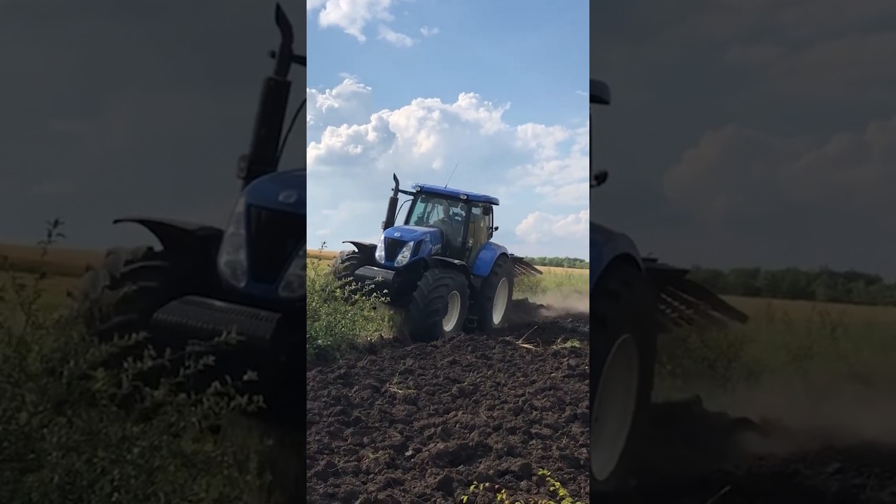 NH crushing small trees 